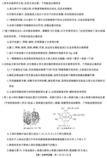 湖湘名校教育联合体·2024年下学期高一10月大联考高一生物(试题)