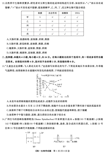 湖湘名校教育联合体·2024年下学期高一10月大联考高一生物(试题)