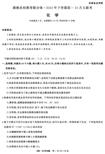湖湘名校教育联合体·2024年下学期高一10月大联考高一化学（试题）