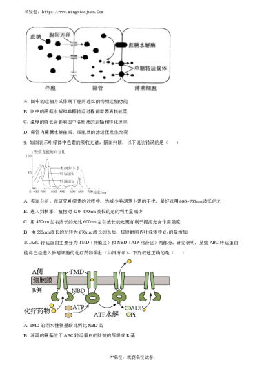 湖南省长郡中学2023-2024学年高一上学期选科适应性调研检测生物试题